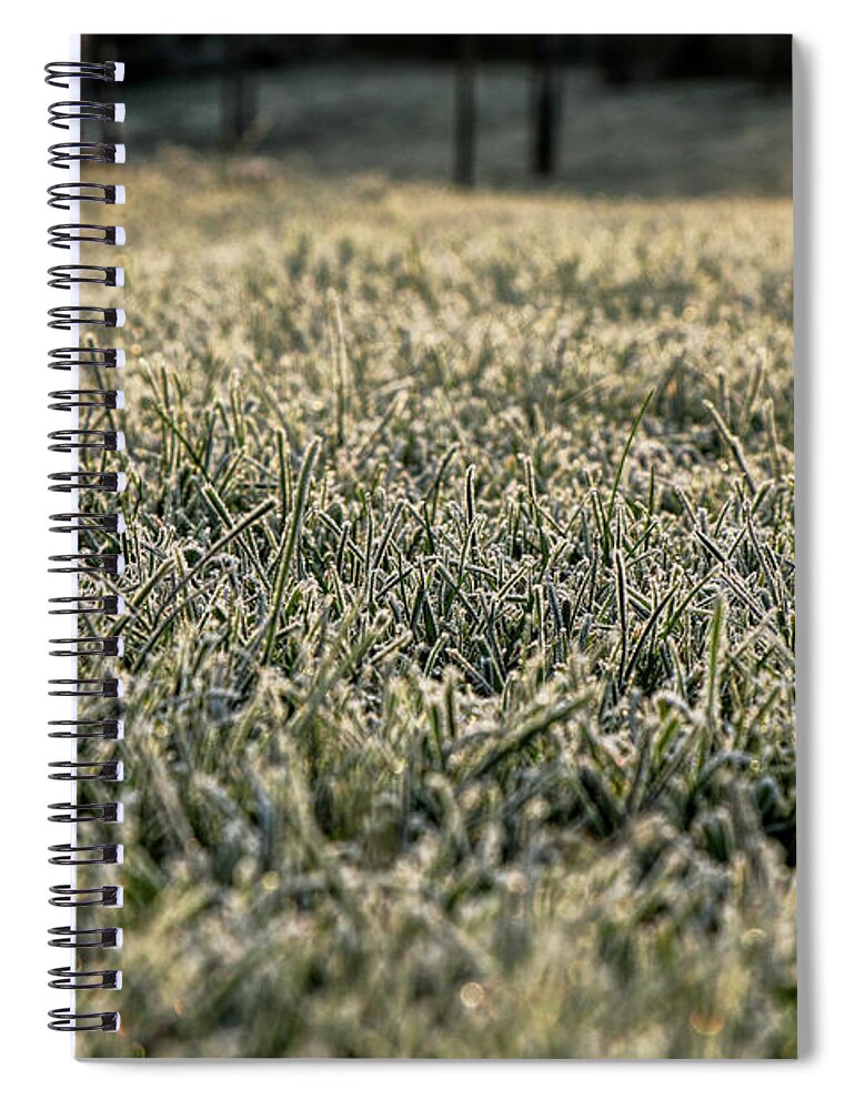 Environment Spiral Notebook featuring the photograph Frozen green grass by Vaclav Sonnek