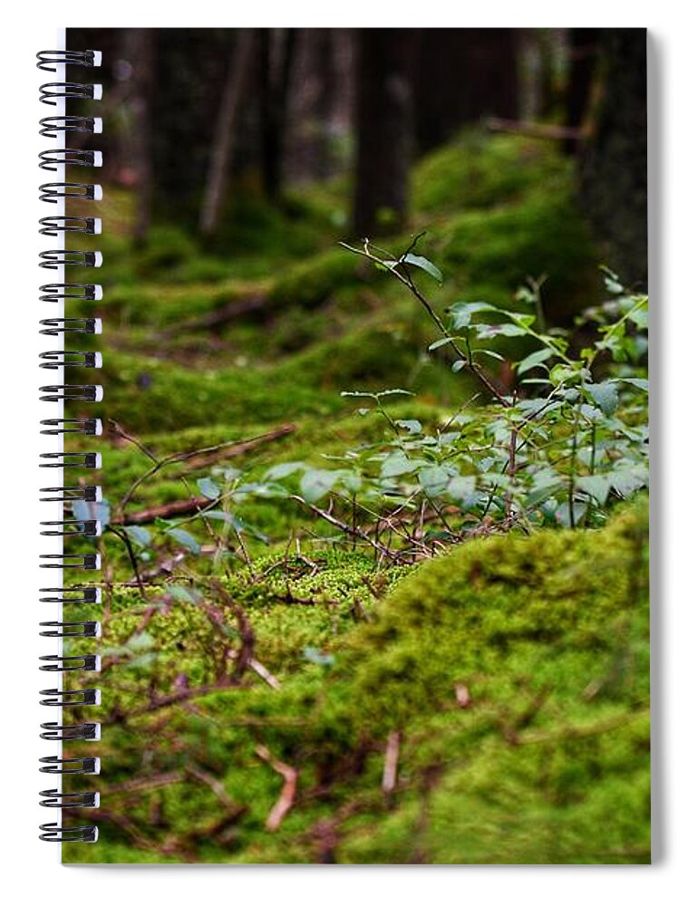 Photo Spiral Notebook featuring the photograph Moss under the Spruce by Evan Foster
