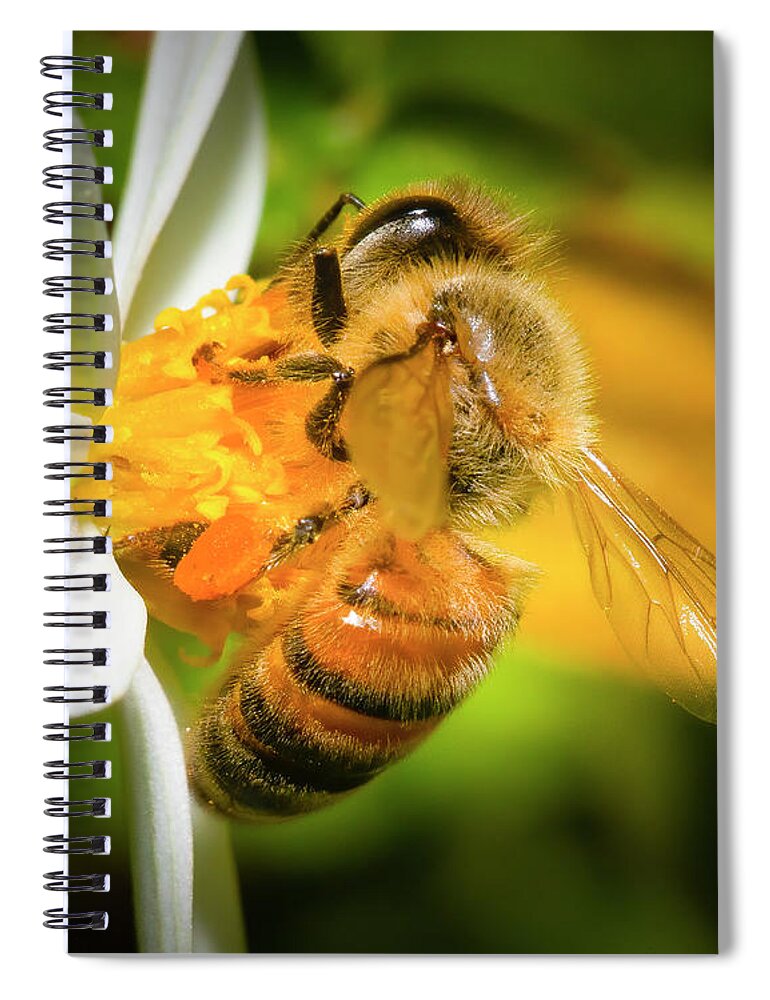 Bee Spiral Notebook featuring the photograph A Bee in the Garden by Mark Andrew Thomas