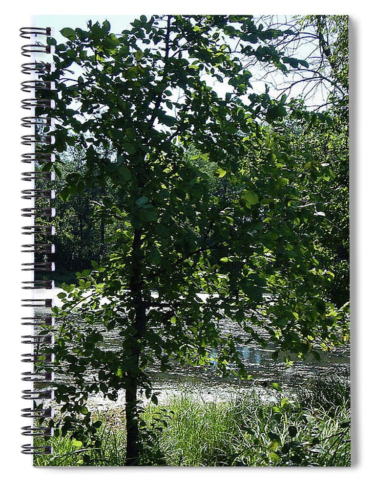 Swamp Spiral Notebook featuring the photograph A Break by Wild Thing