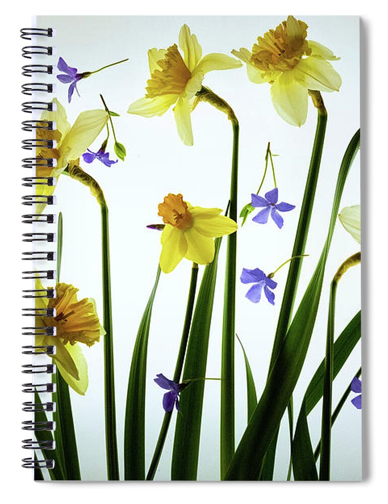 Daffodils Spiral Notebook featuring the photograph A Breath of Spring by William Fields