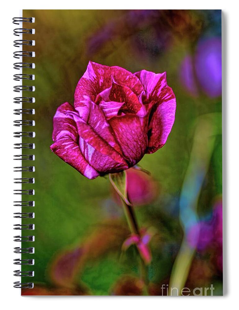 Roses Spiral Notebook featuring the photograph A Bud by Diana Mary Sharpton