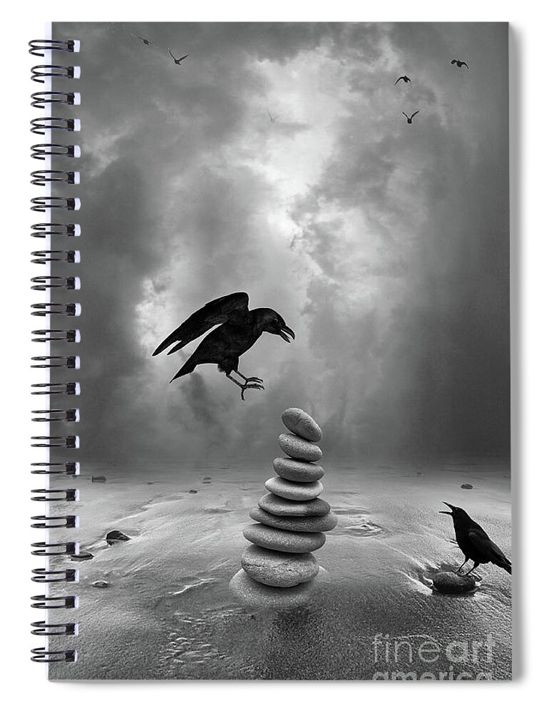 Crow Spiral Notebook featuring the photograph A Day at the Beach by Jim Hatch