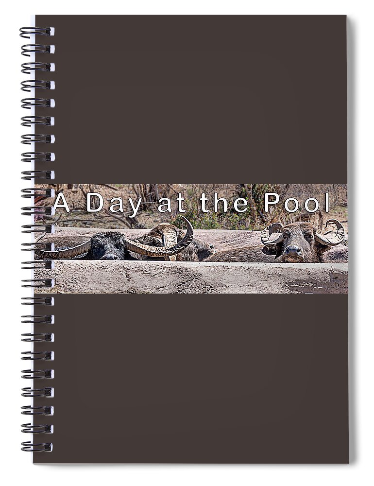  Spiral Notebook featuring the photograph A Day at the Pool by Al Judge