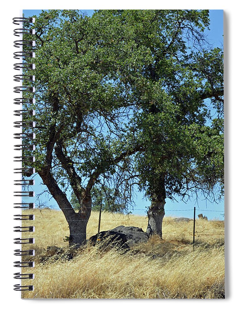Tree Spiral Notebook featuring the photograph A Dry Hillside by Eric Forster