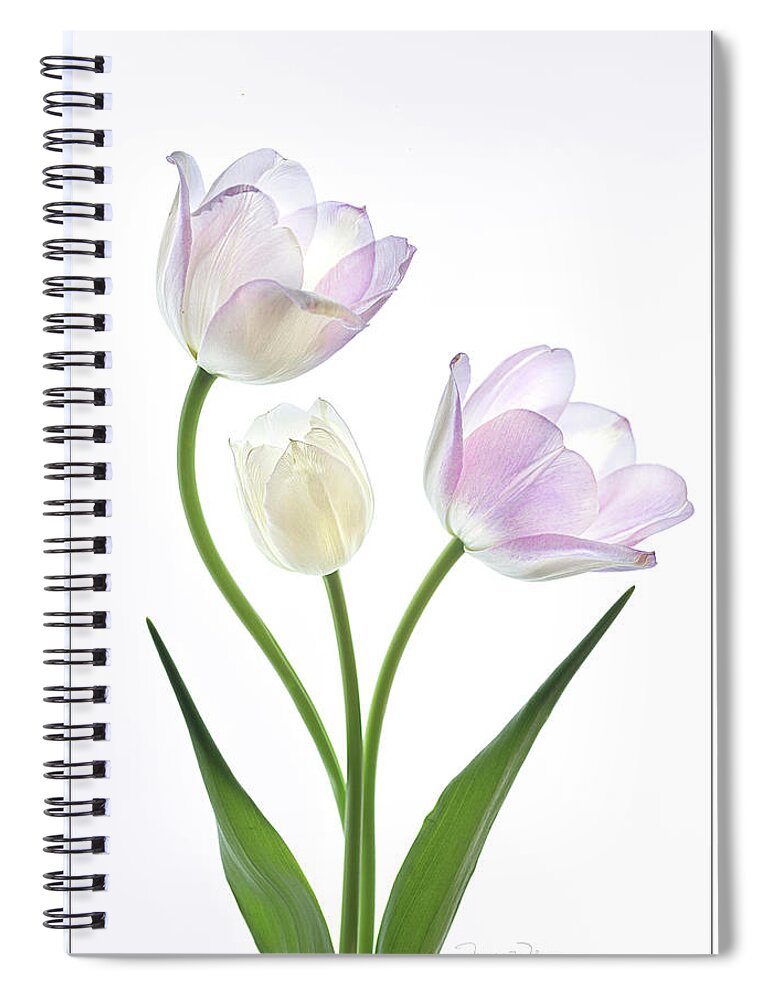 Beautiful Spiral Notebook featuring the photograph A Family Affair by Teresa Wilson