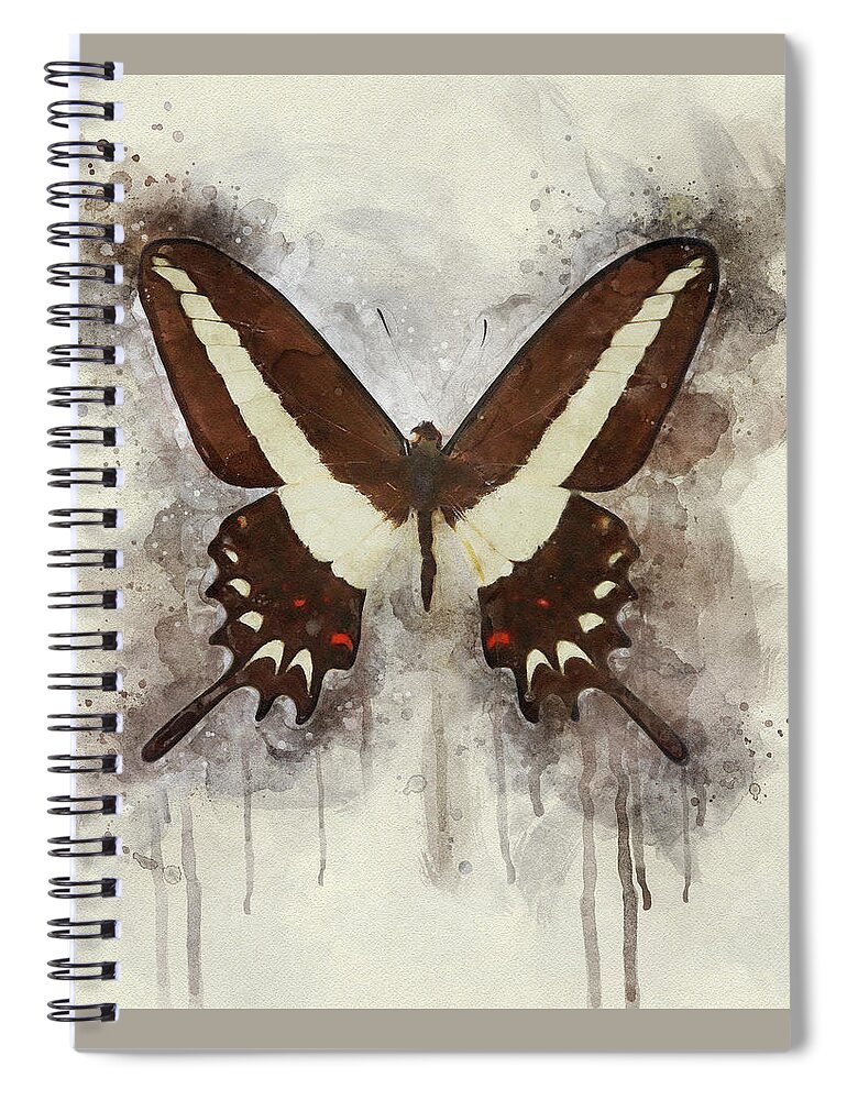 Butterfly Spiral Notebook featuring the photograph A Flutter of Color by Leda Robertson