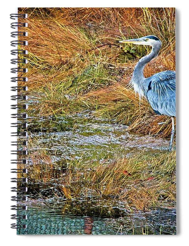 Heron Spiral Notebook featuring the photograph A Great Blue by Chuck Burdick