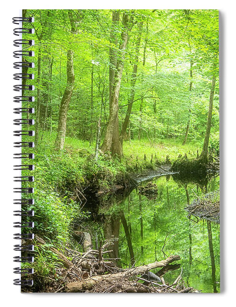 Croatan National Forest Spiral Notebook featuring the photograph A Green Spring View in the Forest by Bob Decker