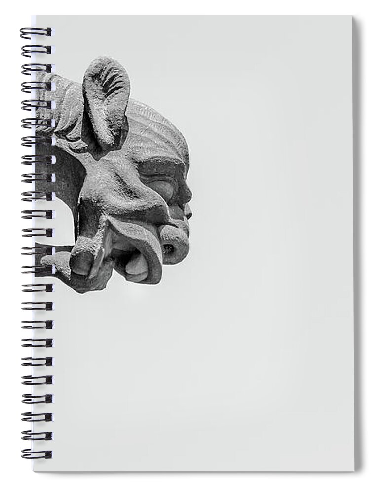 Architecture Spiral Notebook featuring the photograph A Grotesque in Strasbourg - 4 by W Chris Fooshee