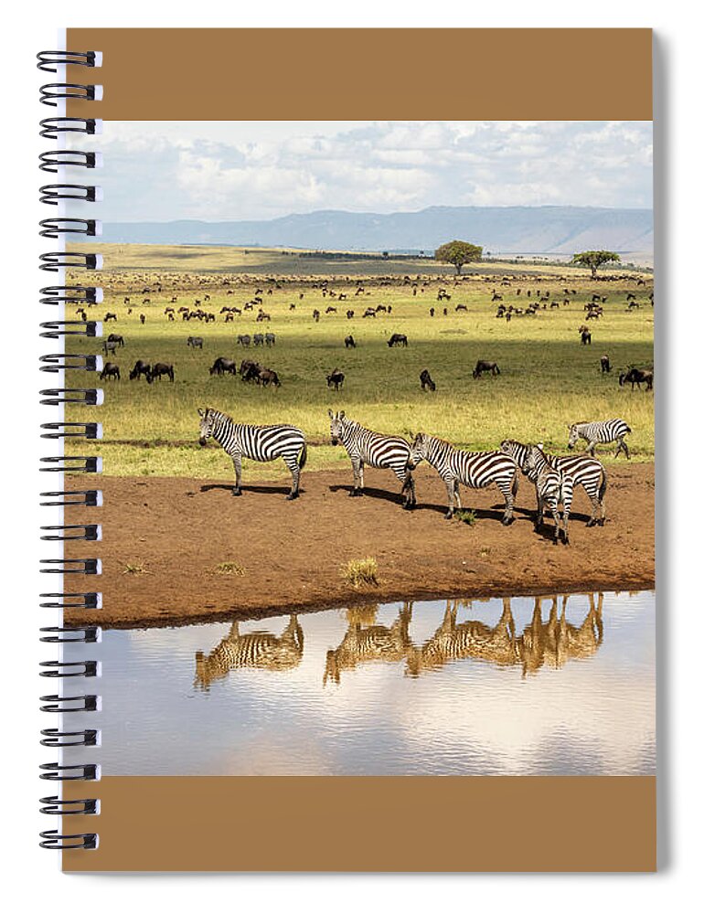 Animal Spiral Notebook featuring the photograph A group of plains zebra reflected in a water hole in the Masai Mara, Kenya by Jane Rix