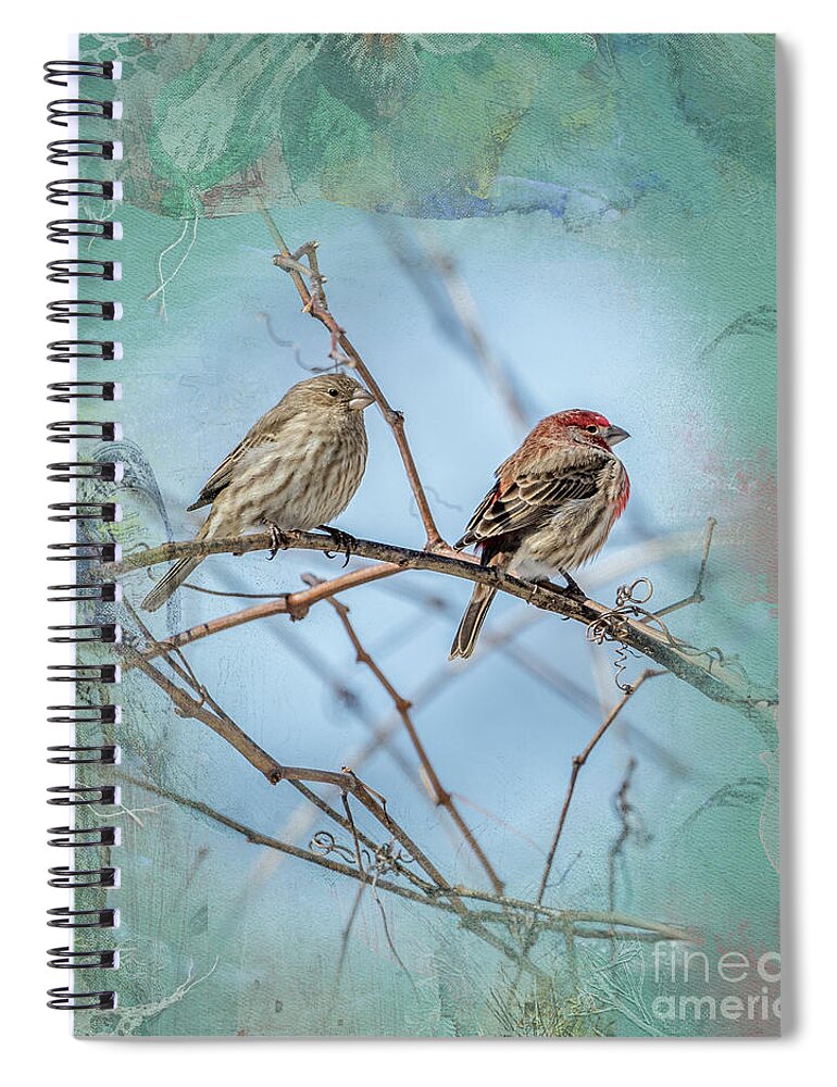 House Finch Spiral Notebook featuring the photograph A House Finch Love Story by Sandra Rust