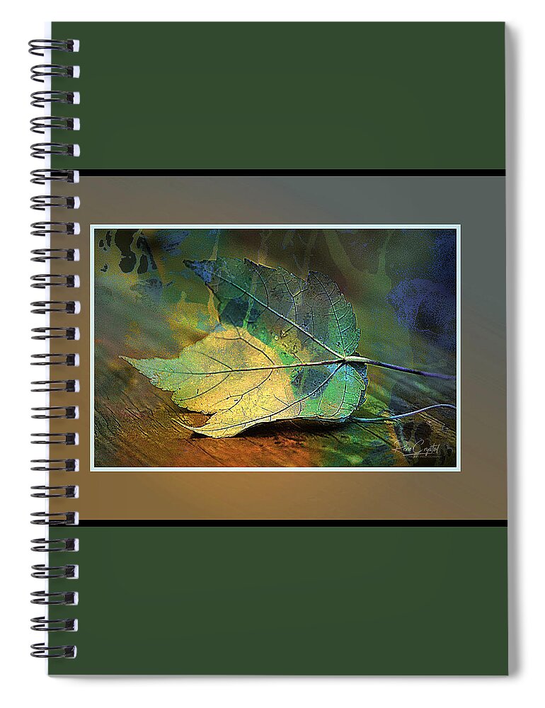 Leaf Spiral Notebook featuring the photograph A Leaf Of Many Colors by Rene Crystal