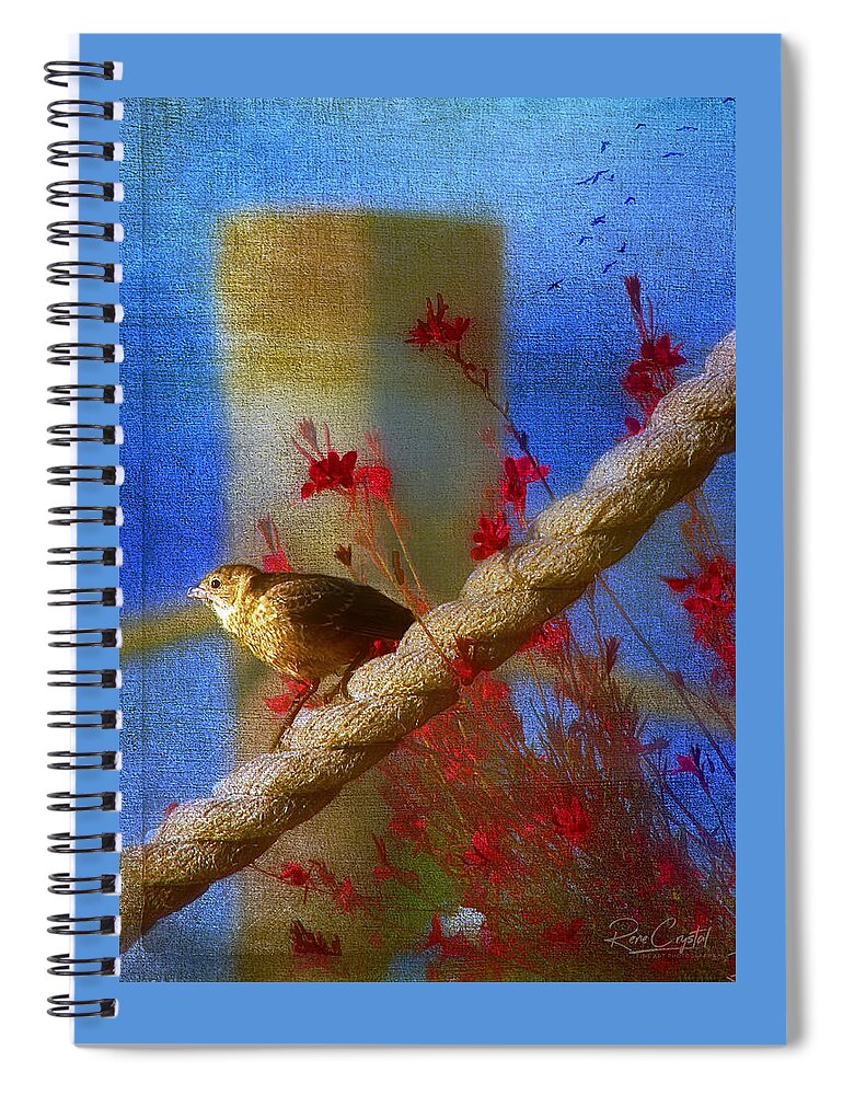 Birds Spiral Notebook featuring the photograph A Live Tweet From Cape Cod by Rene Crystal