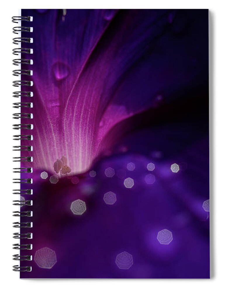 Morning Glory Spiral Notebook featuring the photograph A Magical Morning by Linda Howes