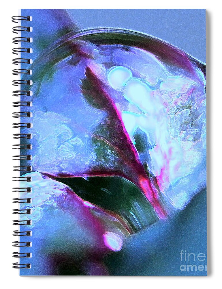 Water Spiral Notebook featuring the digital art A Moment In Time by Tracey Lee Cassin