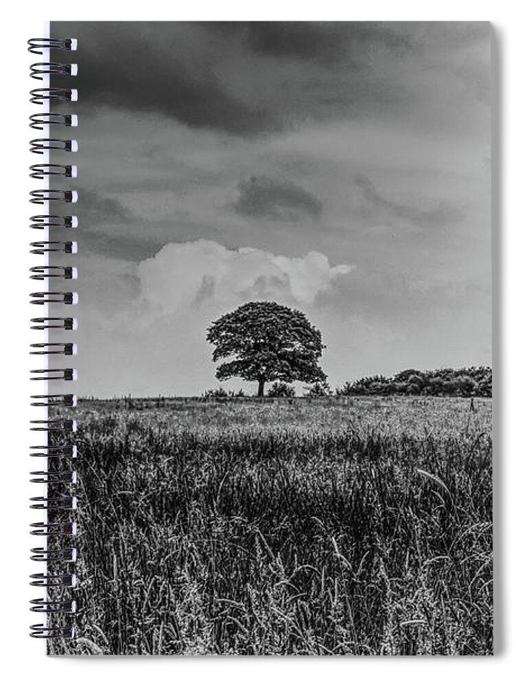Manchester Spiral Notebook featuring the photograph A monochrome tree taken in Hopwood Woods Nature Reserve Manchester UK by Pics By Tony