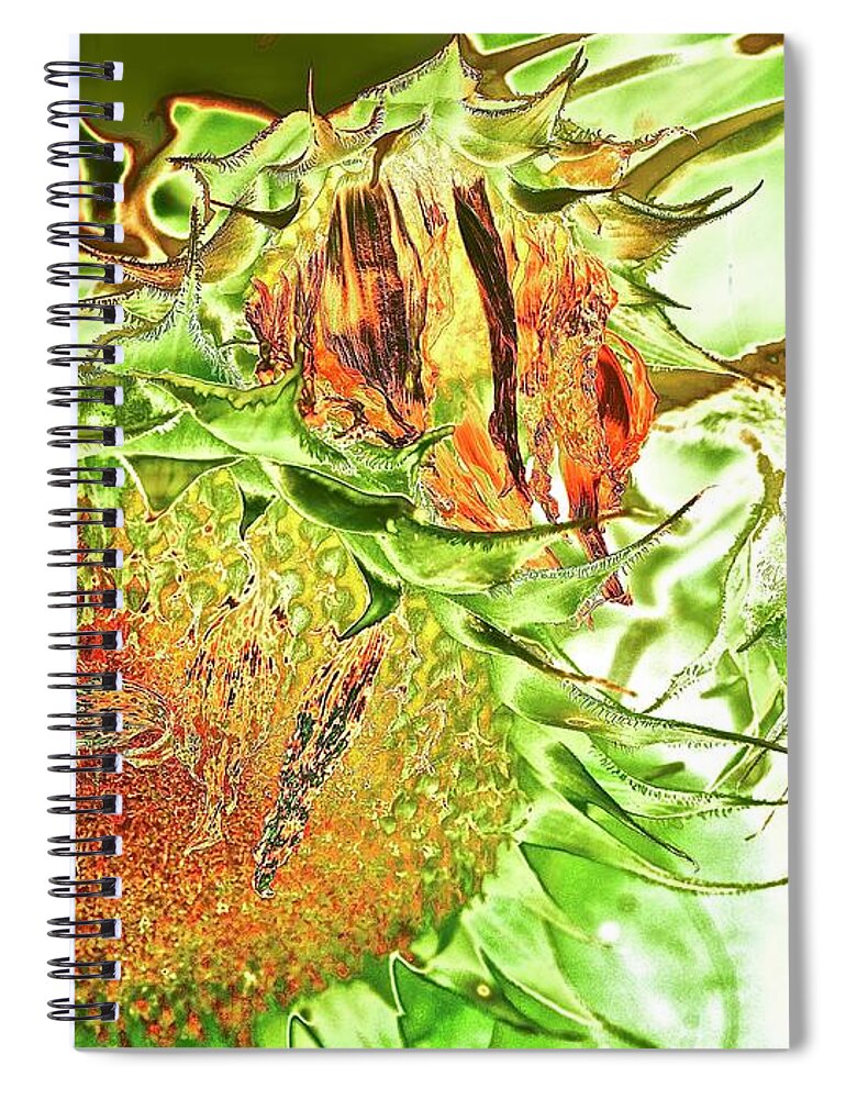 Sunflowers Spiral Notebook featuring the mixed media A New Season Begins by Alida M Haslett
