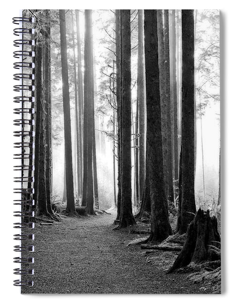 Landscape Spiral Notebook featuring the photograph A Path Through The Old Growth by Allan Van Gasbeck