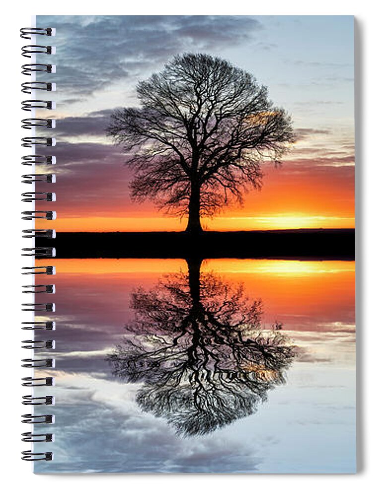 English Oak Spiral Notebook featuring the photograph A Place to Rest by Tim Gainey