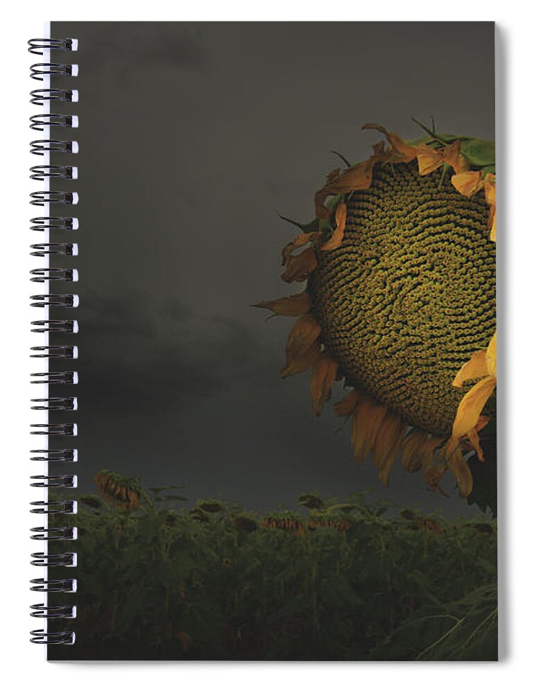 Flower Spiral Notebook featuring the photograph A Ray Of Hope In A Sea Of Despair by Brian Gustafson