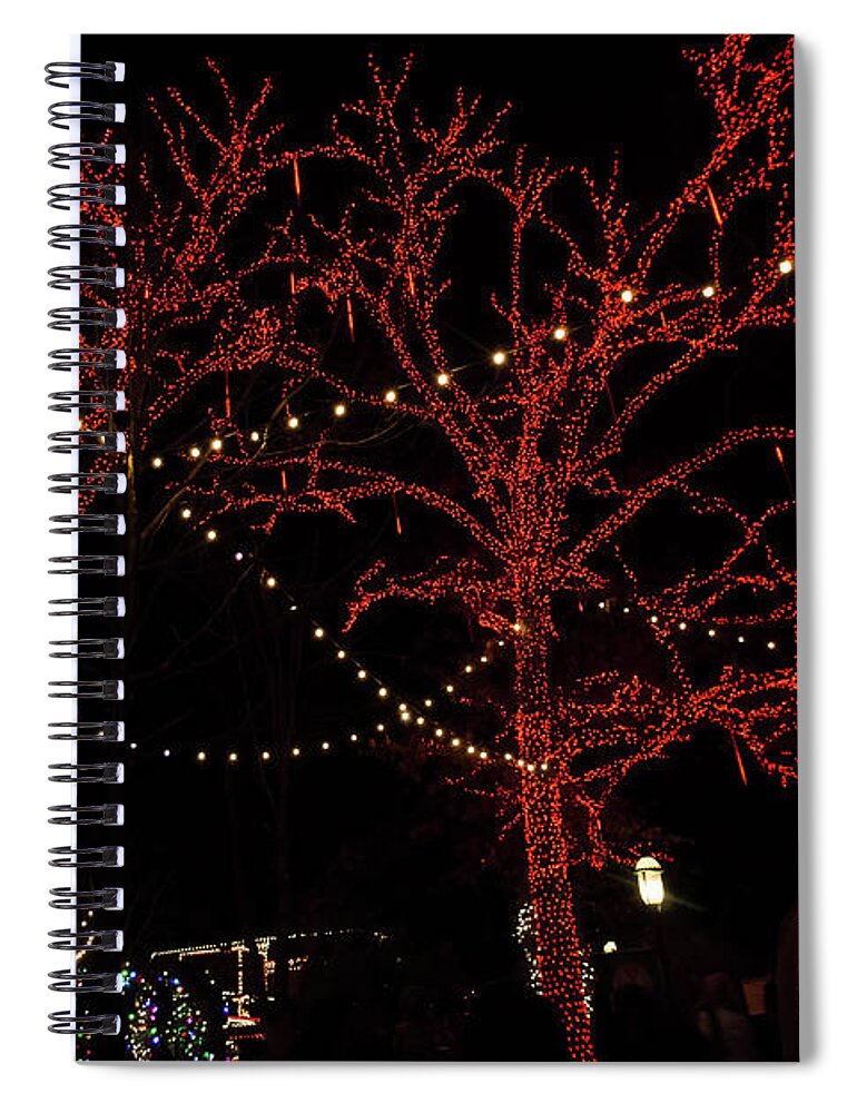 Christmas Spiral Notebook featuring the photograph A Red Pair by Jennifer White