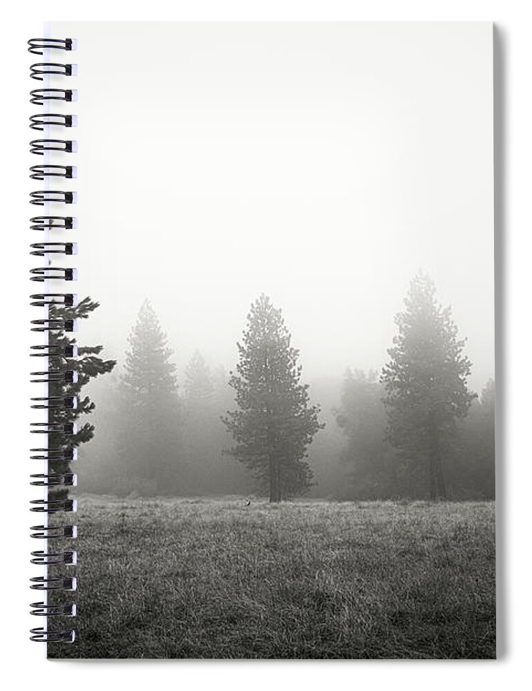 Trees Spiral Notebook featuring the photograph A Rich Aggregation by Ryan Weddle