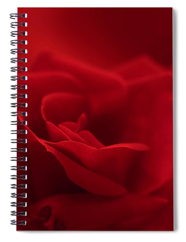Macro Spiral Notebook featuring the photograph A Rose is a Rose by Patrick Nowotny