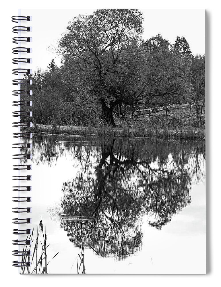Black Spiral Notebook featuring the photograph A Stately Oak by Leslie Struxness