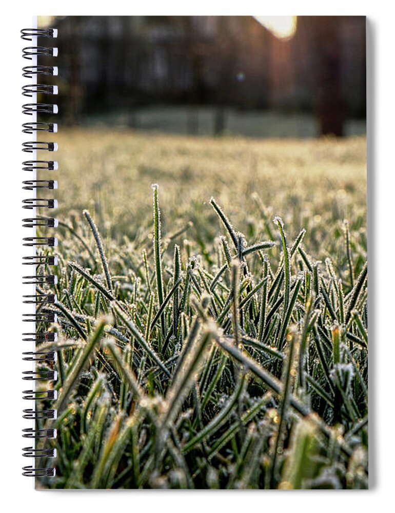 Environment Spiral Notebook featuring the photograph Stem of grass are covering snow. by Vaclav Sonnek