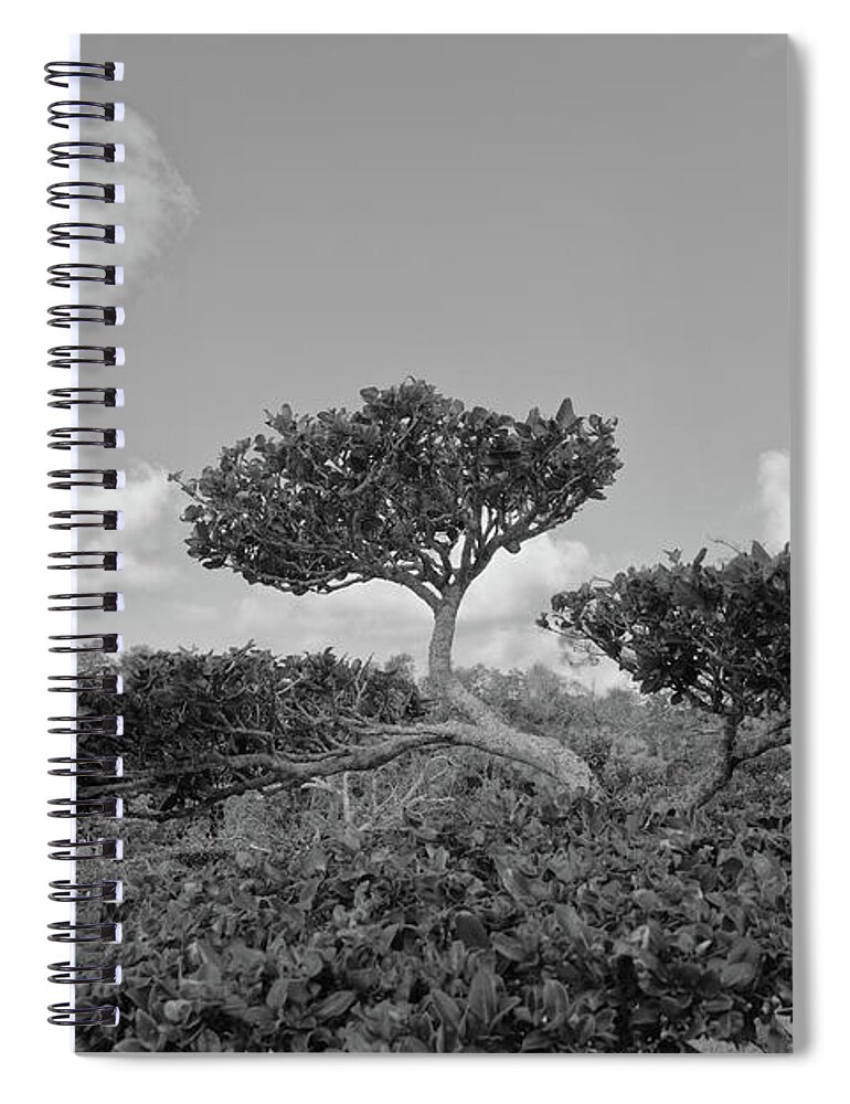 Landscape Spiral Notebook featuring the photograph A Tree in a Japanese Garden #2 by Alan Goldberg