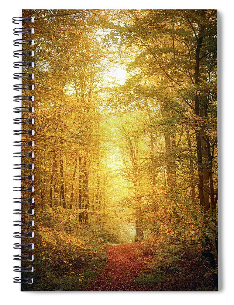 Autumn Spiral Notebook featuring the photograph A Walk in the Woods by Philippe Sainte-Laudy
