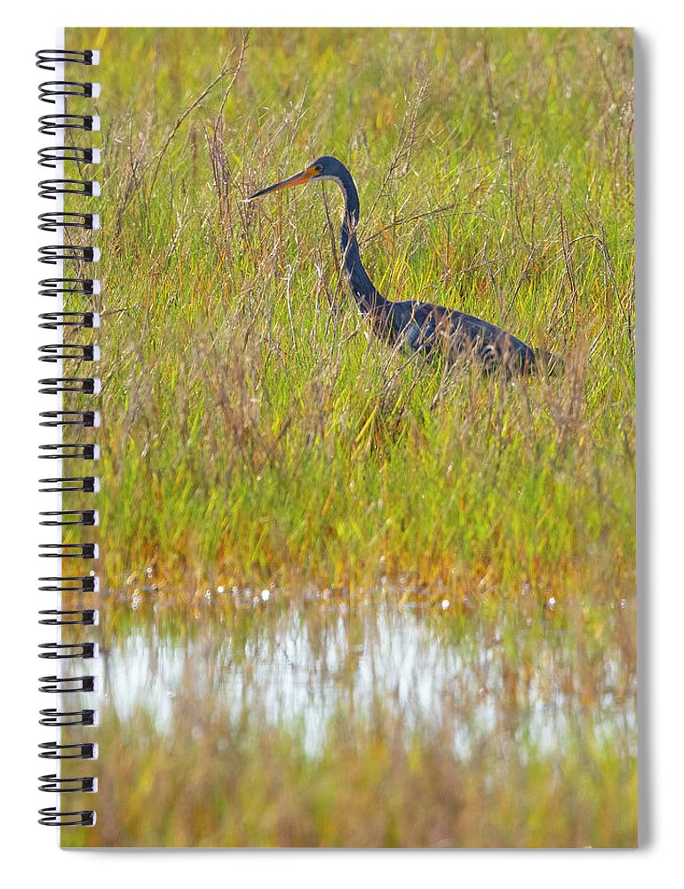 R5-2669 Spiral Notebook featuring the photograph A Youngster out in the Grasslands by Gordon Elwell