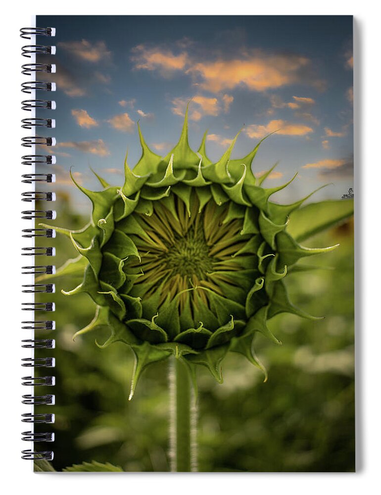 Sunflower Spiral Notebook featuring the photograph About To Pop Out by Rick Nelson