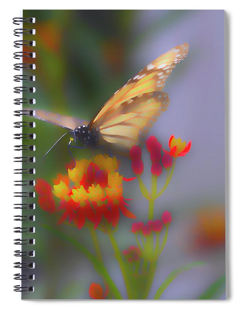 Monarch Spiral Notebook featuring the digital art Abst Monarch by Alison Belsan Horton