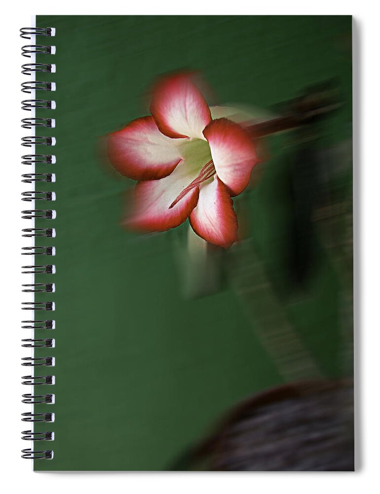 Art Spiral Notebook featuring the digital art Abstract Floral Art 697 by Miss Pet Sitter