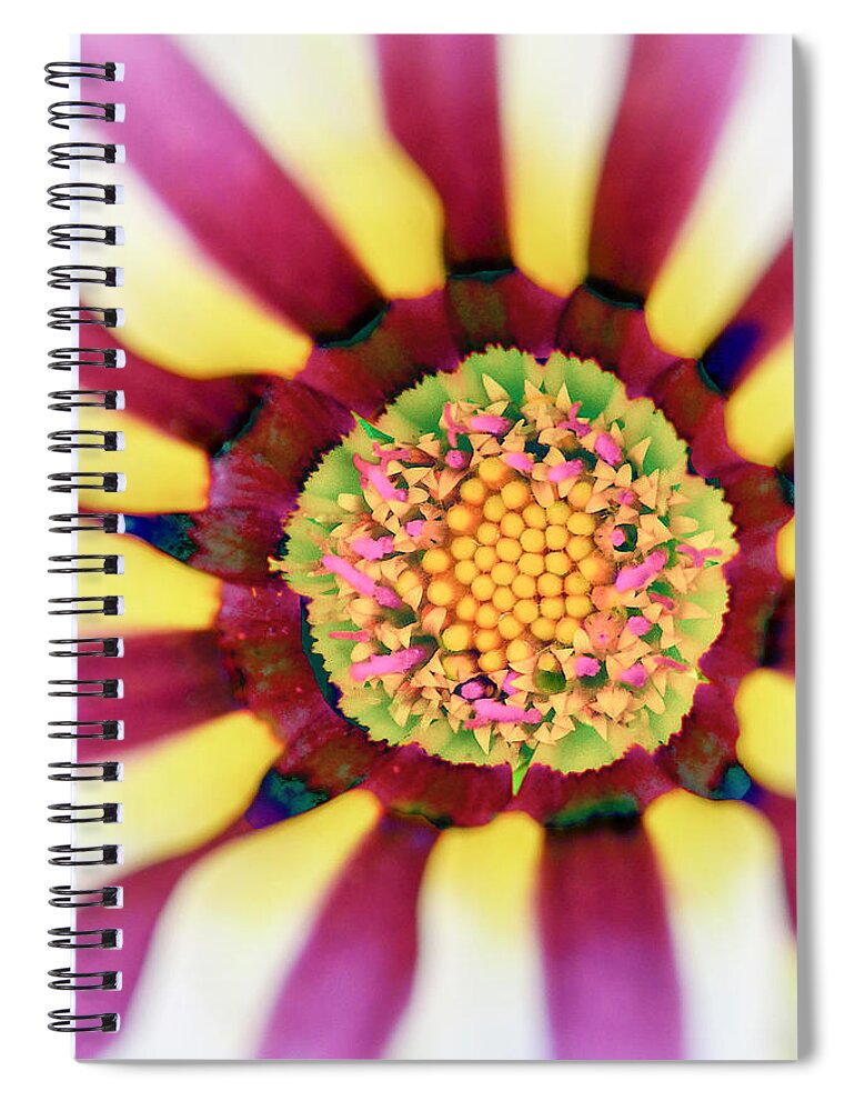 Abstract Spiral Notebook featuring the photograph Abstract Flower by WAZgriffin Digital