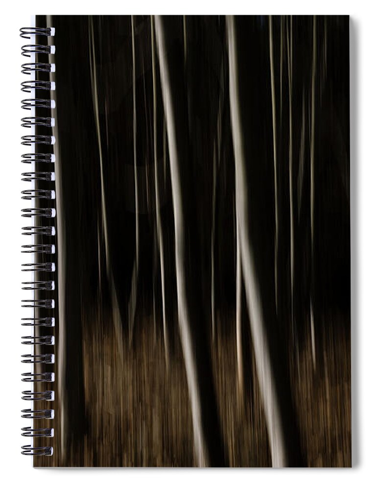 Abstract Spiral Notebook featuring the photograph Abstract Forest - Fine Art Photography Print by Martin Vorel Minimalist Photography