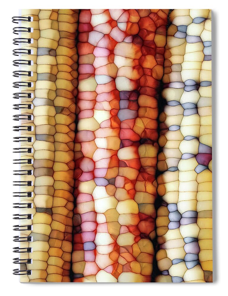 Indian Corn Spiral Notebook featuring the digital art Abstract Indian Corn by Phil Perkins