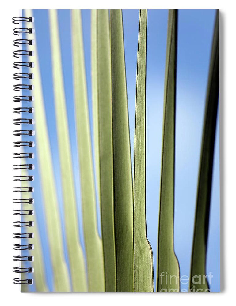 Leaf Spiral Notebook featuring the photograph Abstract Nature 32 by Tony Cordoza