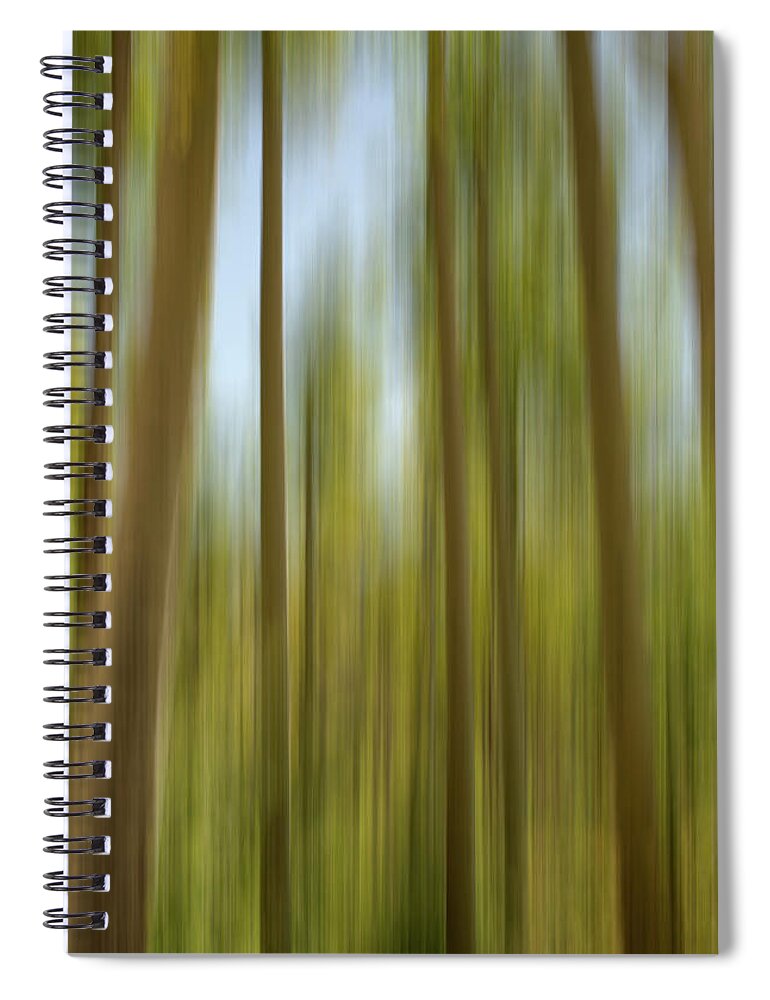 Colorado Spiral Notebook featuring the photograph Abstract of Young Aspens by Kevin Schwalbe