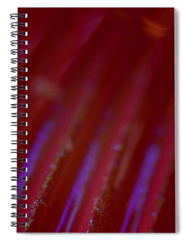 Abstract Spiral Notebook featuring the photograph Abstract Red by Neil R Finlay