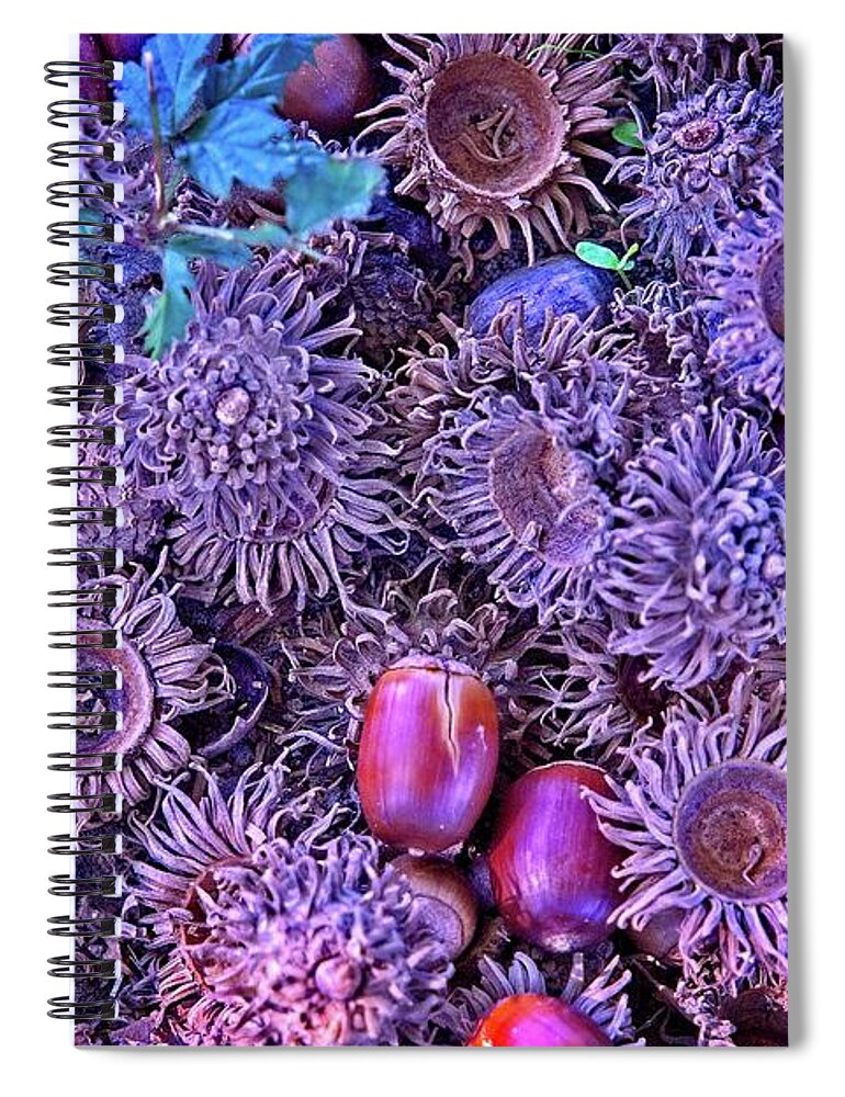 Abstract Spiral Notebook featuring the digital art Acorns, Pods, And Seeds by David Desautel