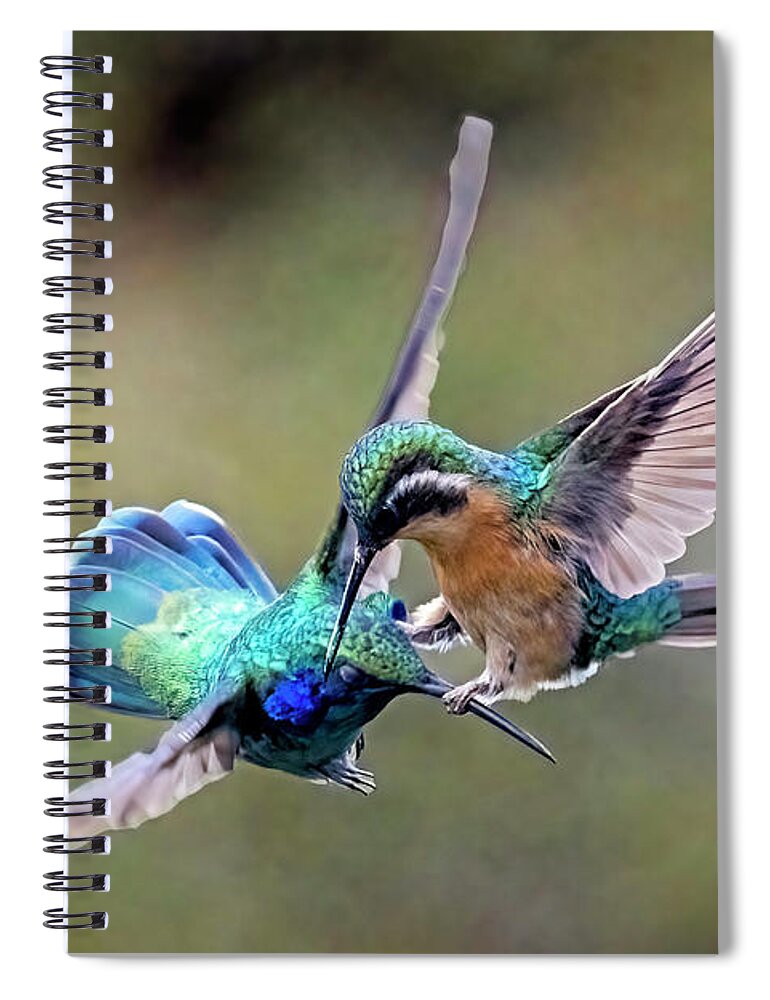 Gary Johnson Spiral Notebook featuring the photograph Aerial Combat by Gary Johnson