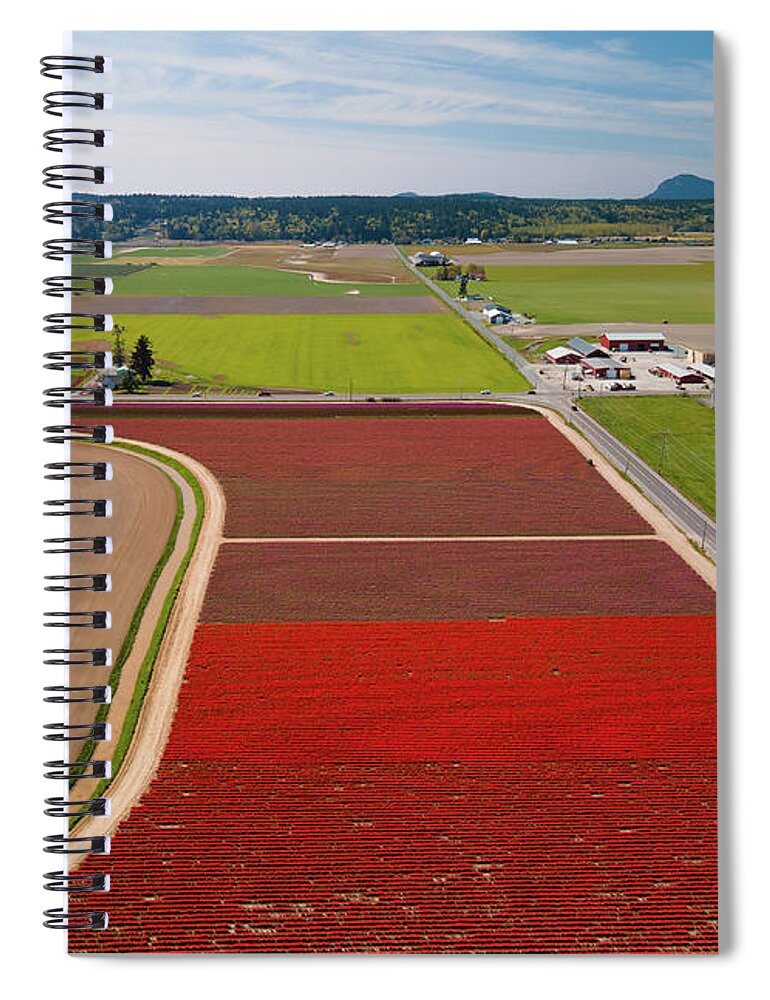 Skagit Valley Tulips Spiral Notebook featuring the photograph Aerial Tulips5 by Michael Rauwolf