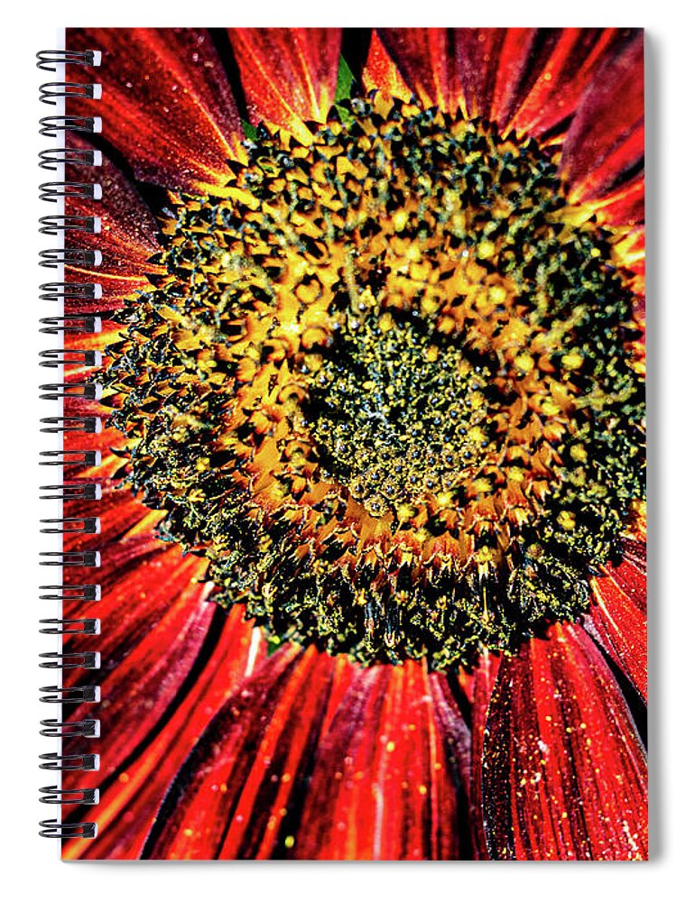 Aesthetic Sunflower Spiral Notebook featuring the photograph Aesthetic Sun Flower by Louis Dallara