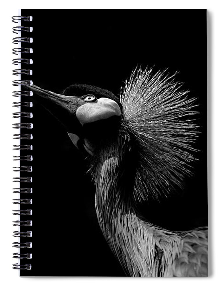 Black Spiral Notebook featuring the photograph African Crowned Crane in Black and White by Carolyn Hutchins