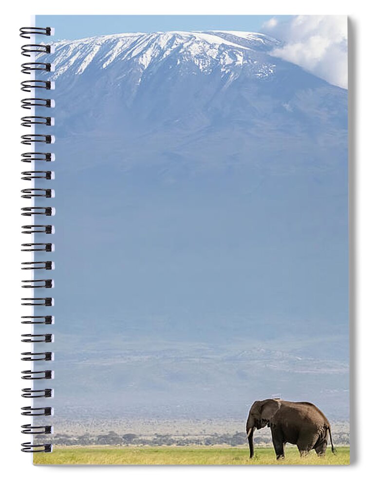 Elephant Spiral Notebook featuring the photograph African elephant walks across the grassland of Amboseli National park, Kenya. A snow covered Mount Kilimajaro can be seen in the background. by Jane Rix