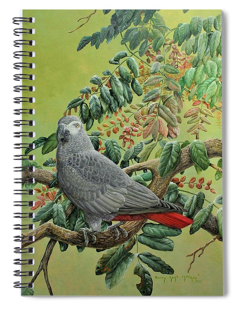 African Grey Parrot Spiral Notebook featuring the painting African Grey Parrot by Barry Kent MacKay