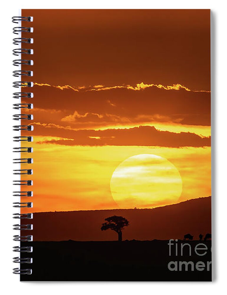 Nature Spiral Notebook featuring the photograph African sunset by Jane Rix